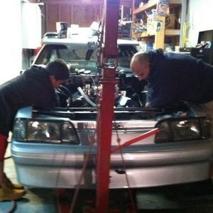 Meet your Posher, Niko